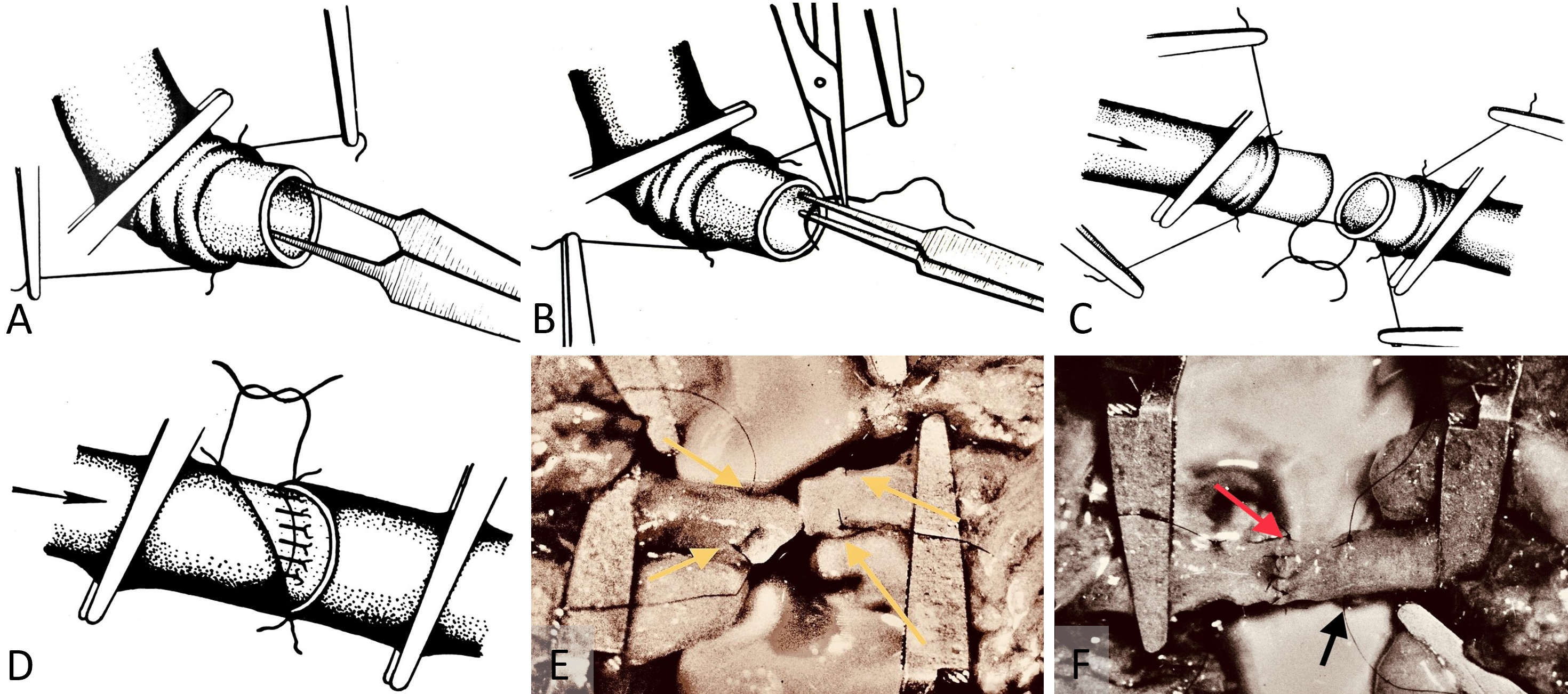 Figure 2.png